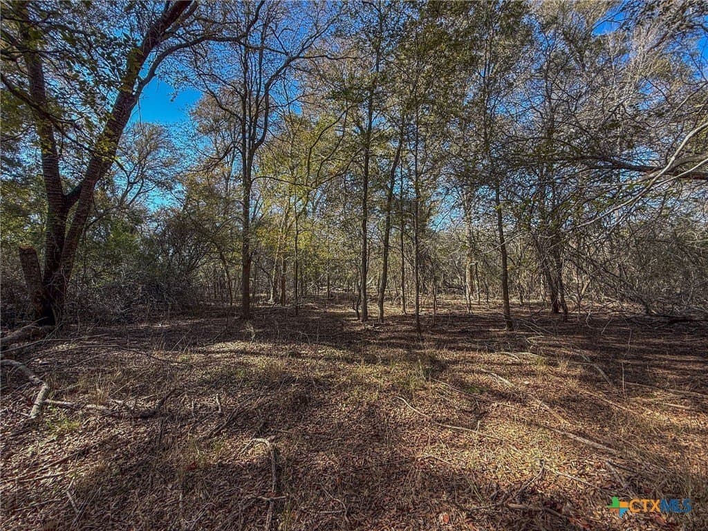 38.57 acres in Guadalupe County - photo 6