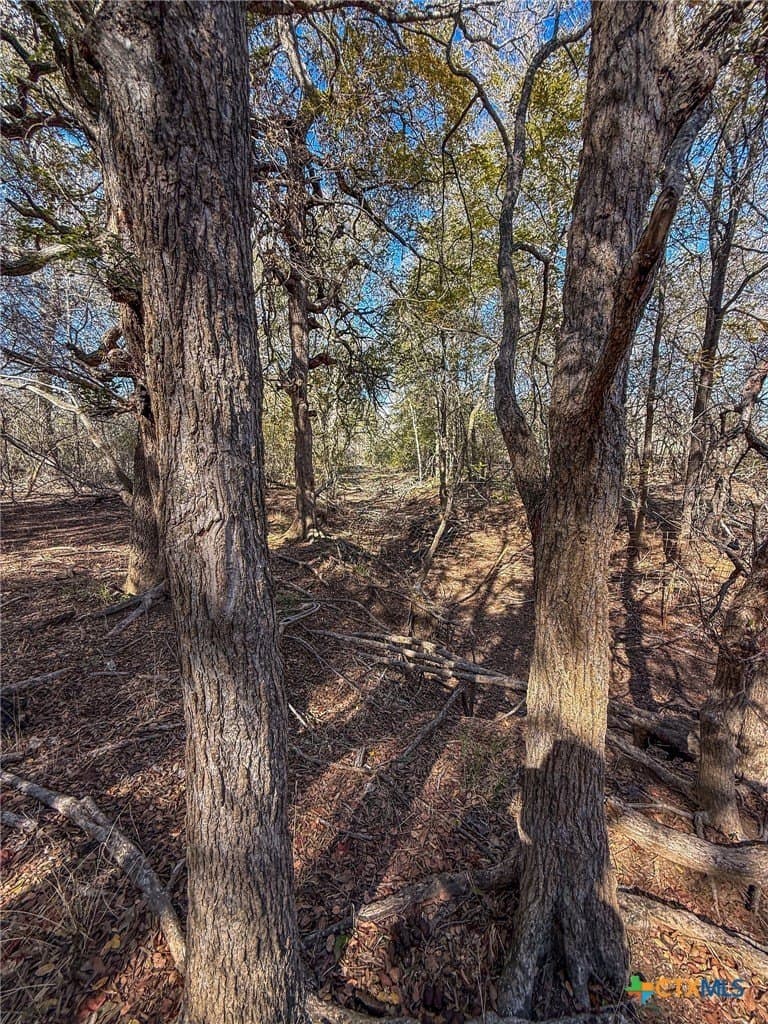 38.57 acres in Guadalupe County featured view