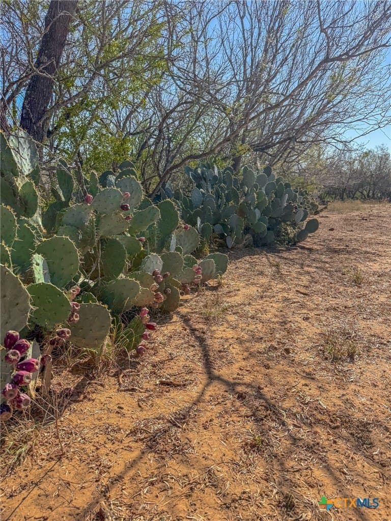 38.57 acres in Guadalupe County - photo 9