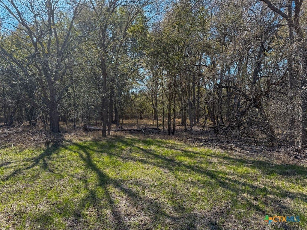 38.57 acres in Guadalupe County gallery image 2