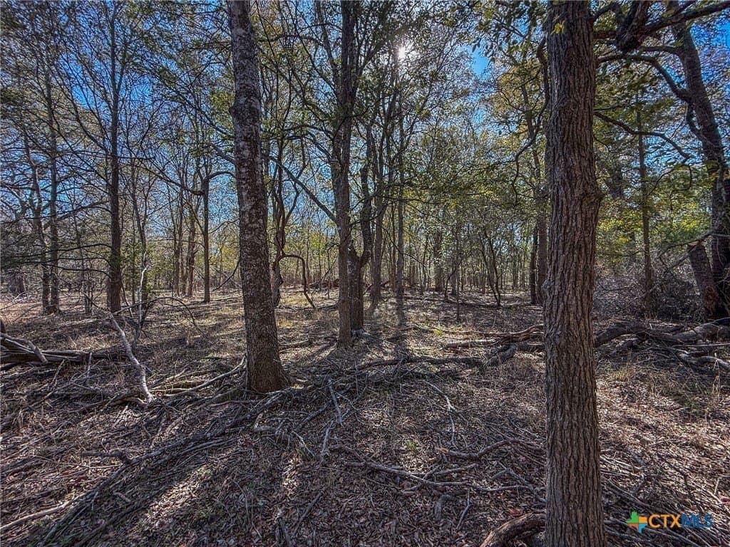 38.57 acres in Guadalupe County - photo 7
