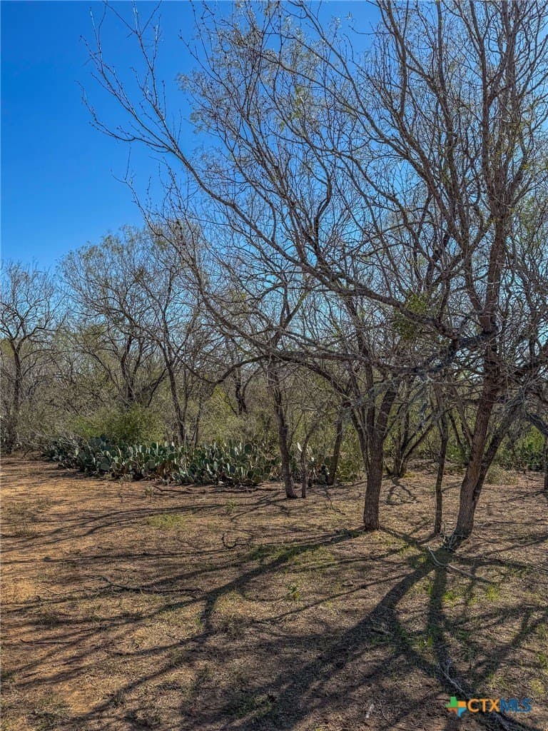 38.57 acres in Guadalupe County - photo 10