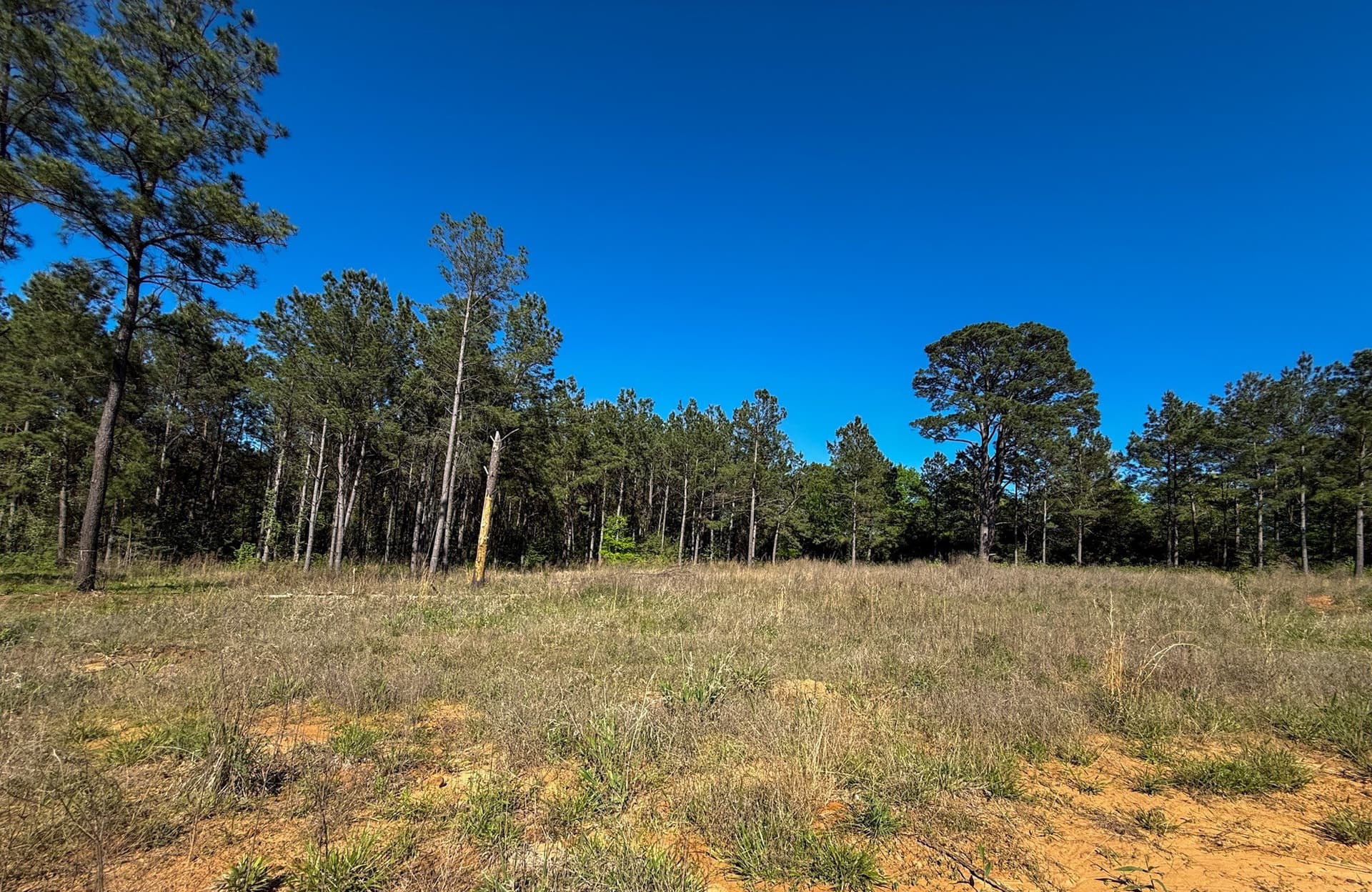 10 acres in Cherokee County - photo 16