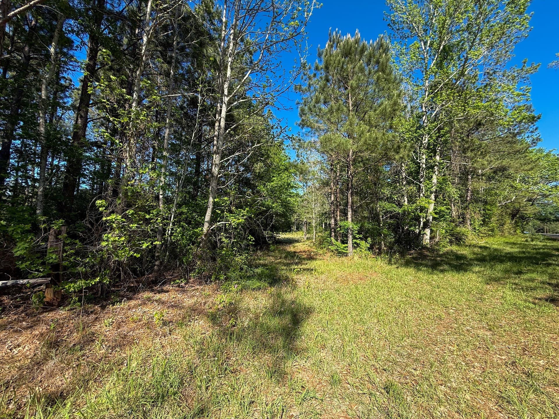 10 acres in Cherokee County - photo 14