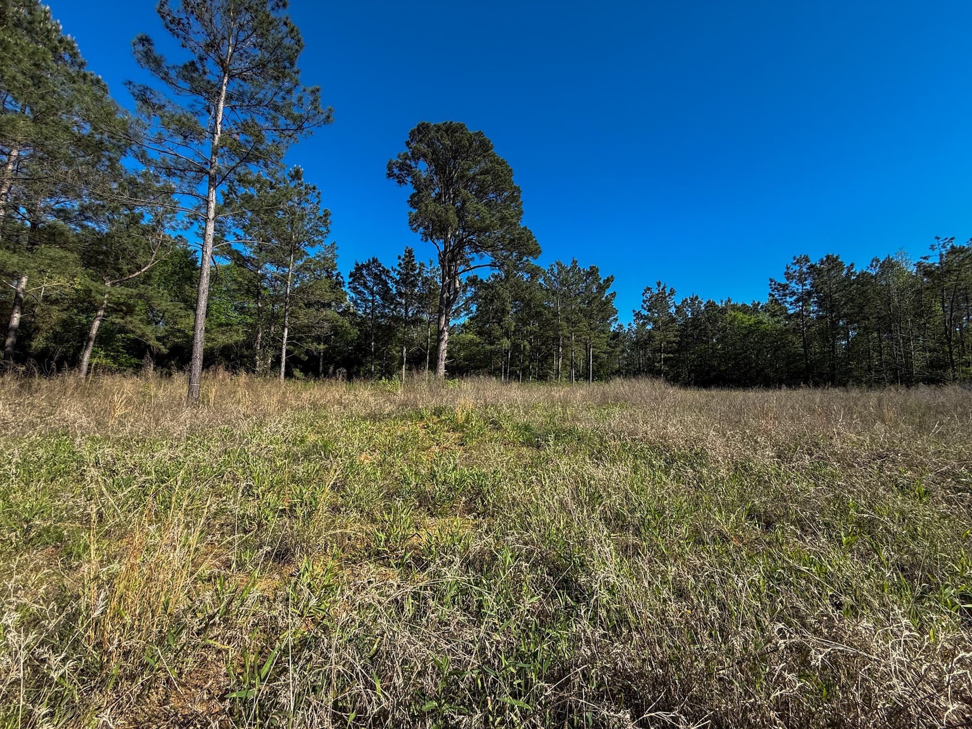 10 acres in Cherokee County - photo 15