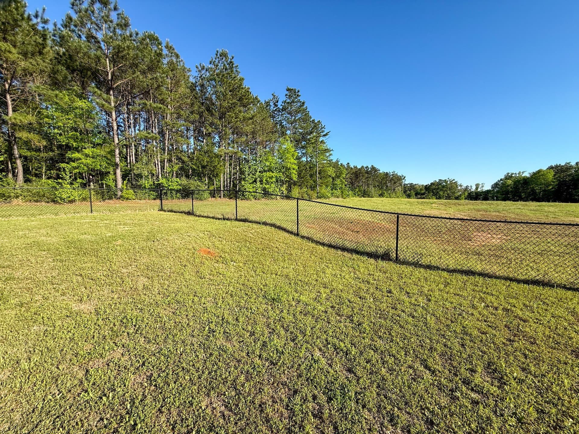 10 acres in Cherokee County - photo 4
