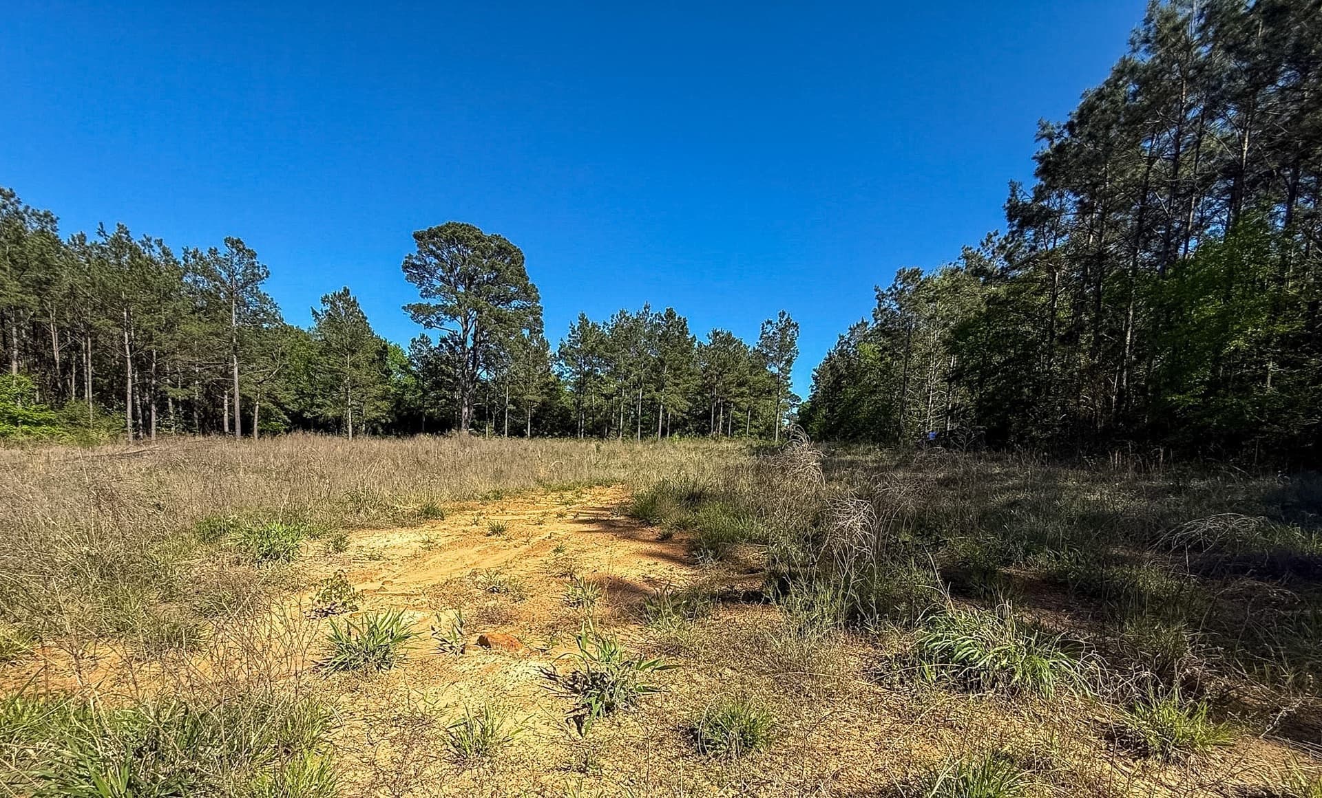 10 acres in Cherokee County - photo 10