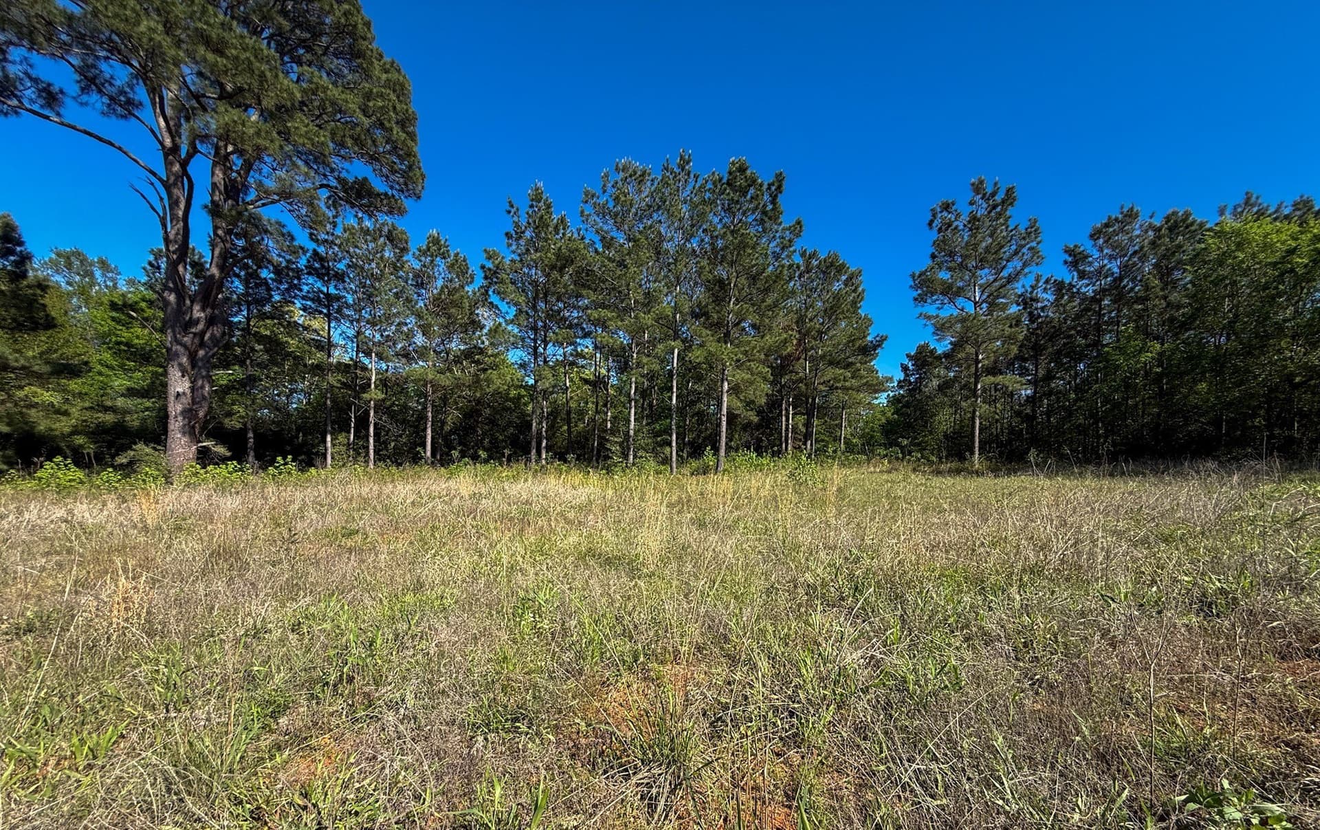 10 acres in Cherokee County - photo 9