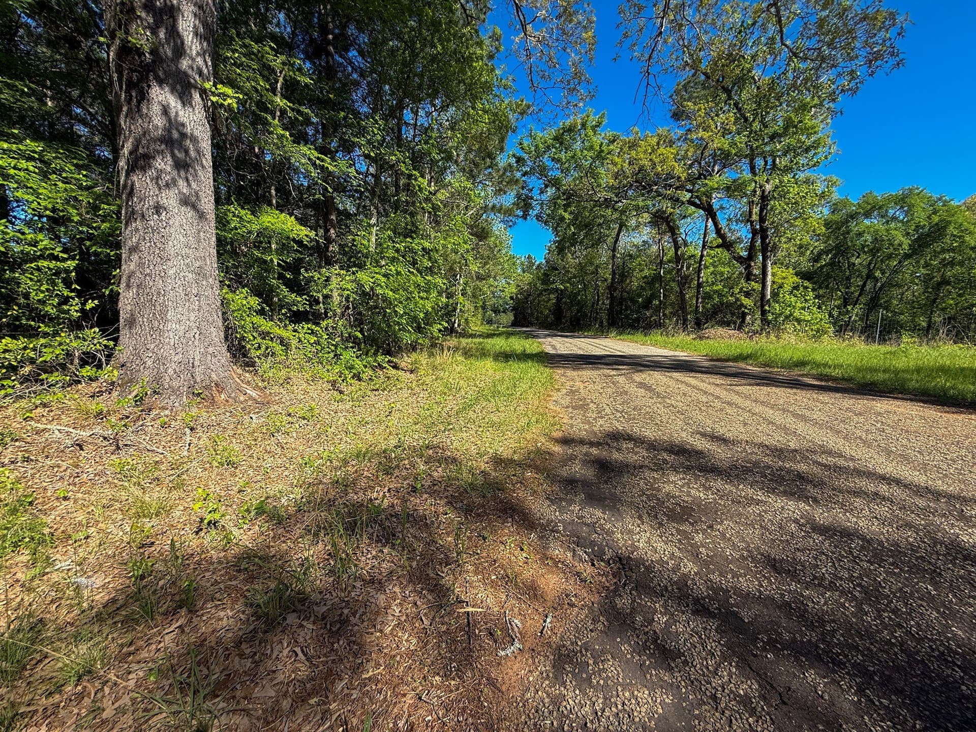 10 acres in Cherokee County - photo 8