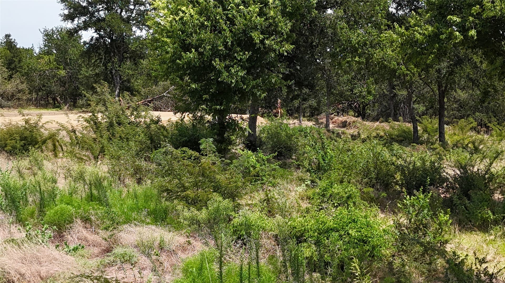 1.85 acres in Navarro County - photo 25