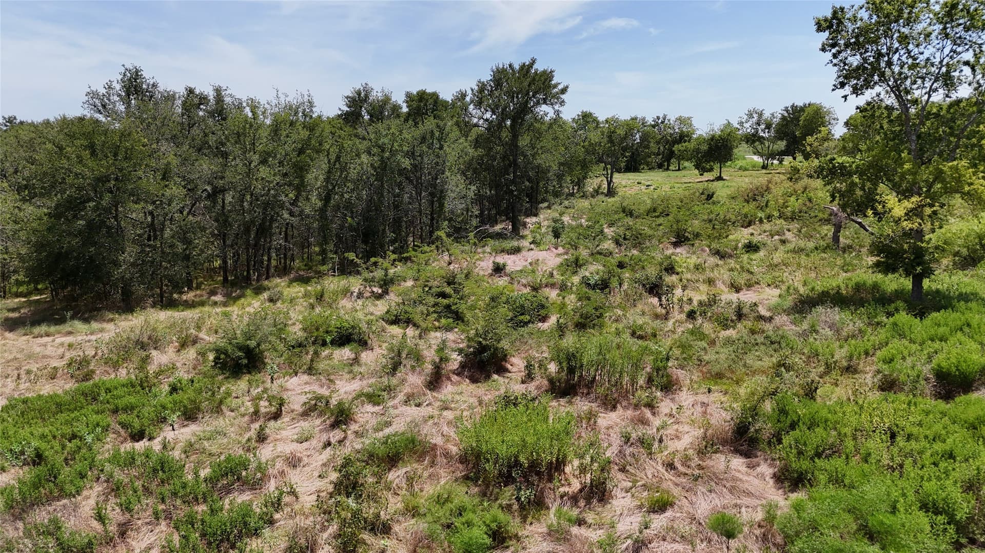 1.85 acres in Navarro County - photo 17