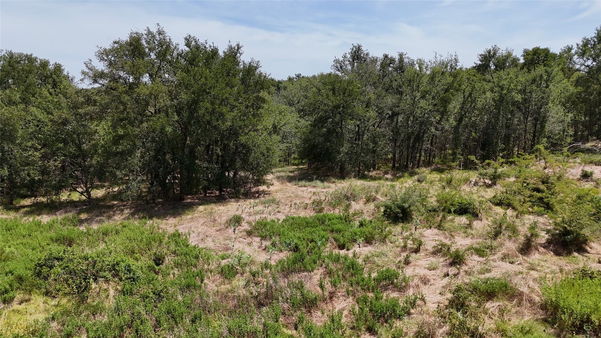 1.85 acres in Navarro County - photo 18