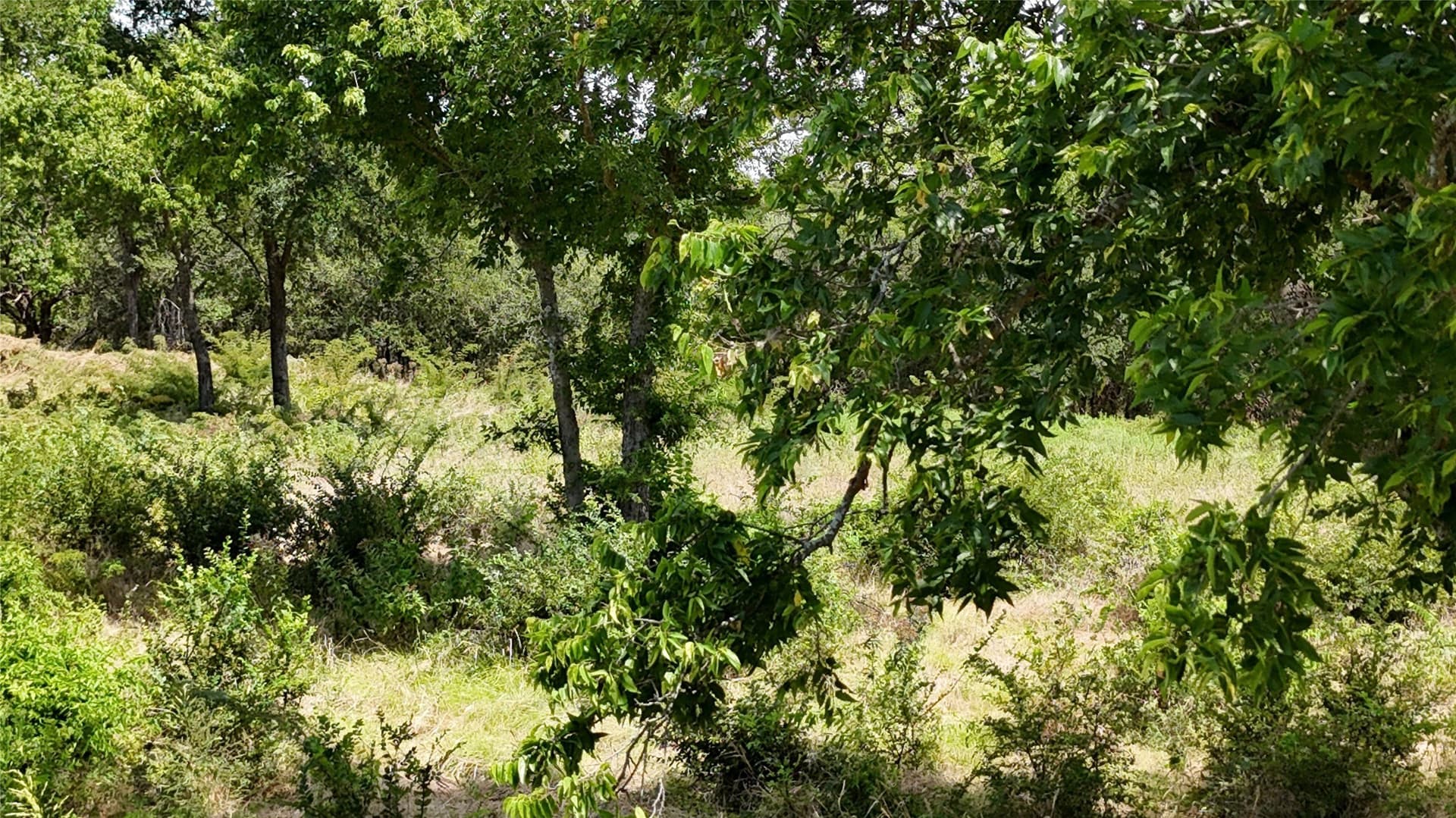 1.85 acres in Navarro County - photo 26