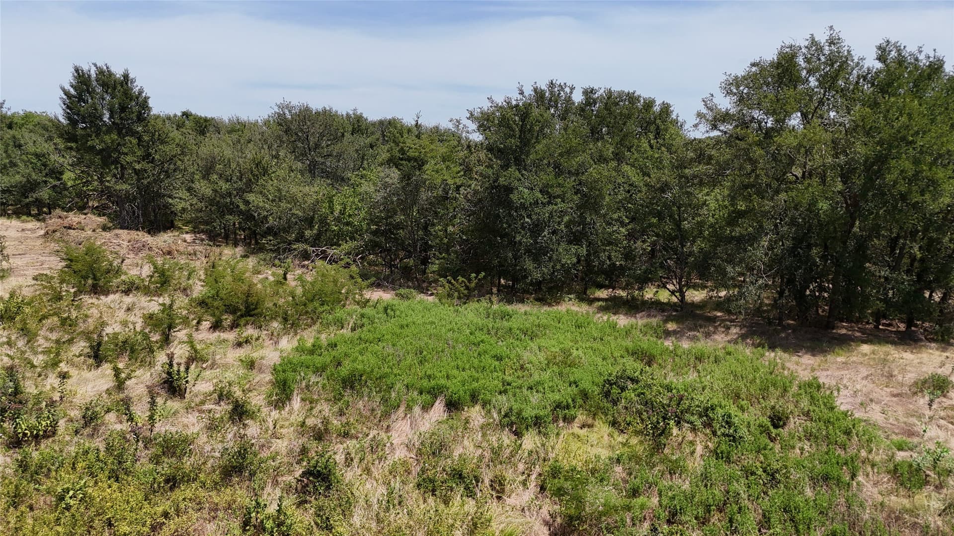 1.85 acres in Navarro County - photo 19