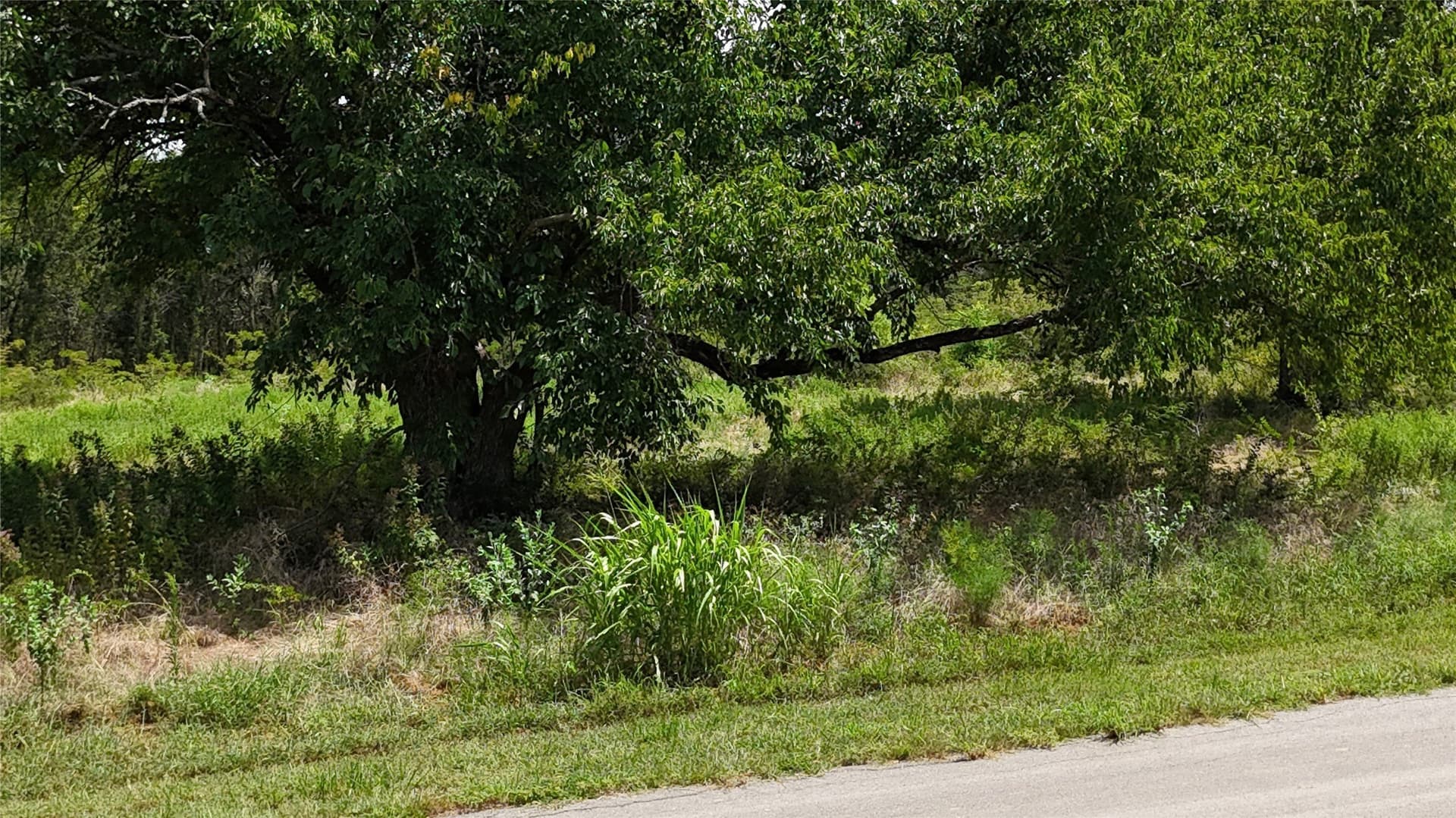 1.85 acres in Navarro County - photo 23