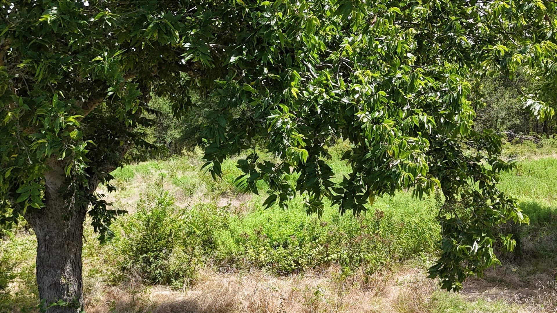 1.85 acres in Navarro County - photo 27