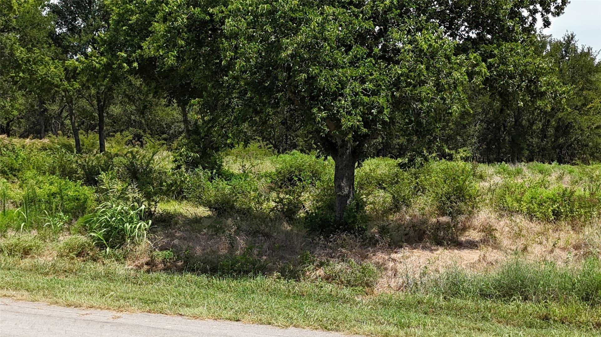 1.85 acres in Navarro County - photo 22