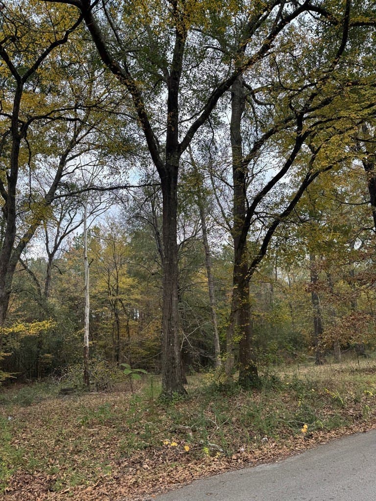 0.34 acres in Texas County featured view