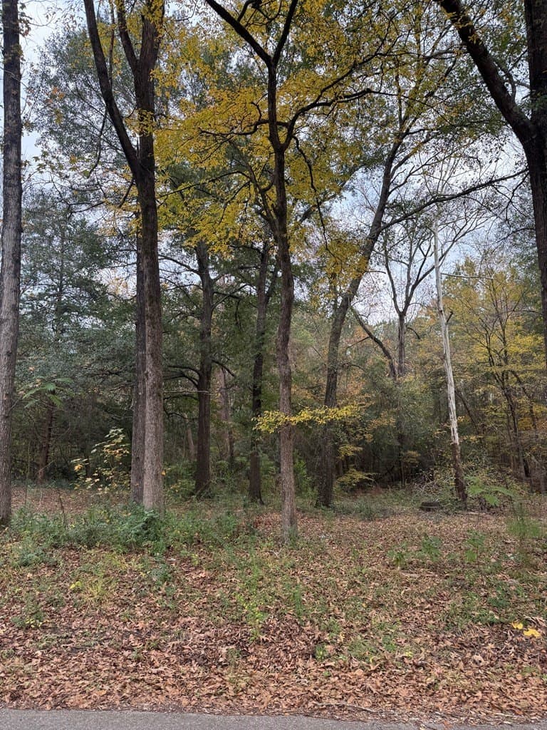 0.34 acres in Texas County gallery image 2