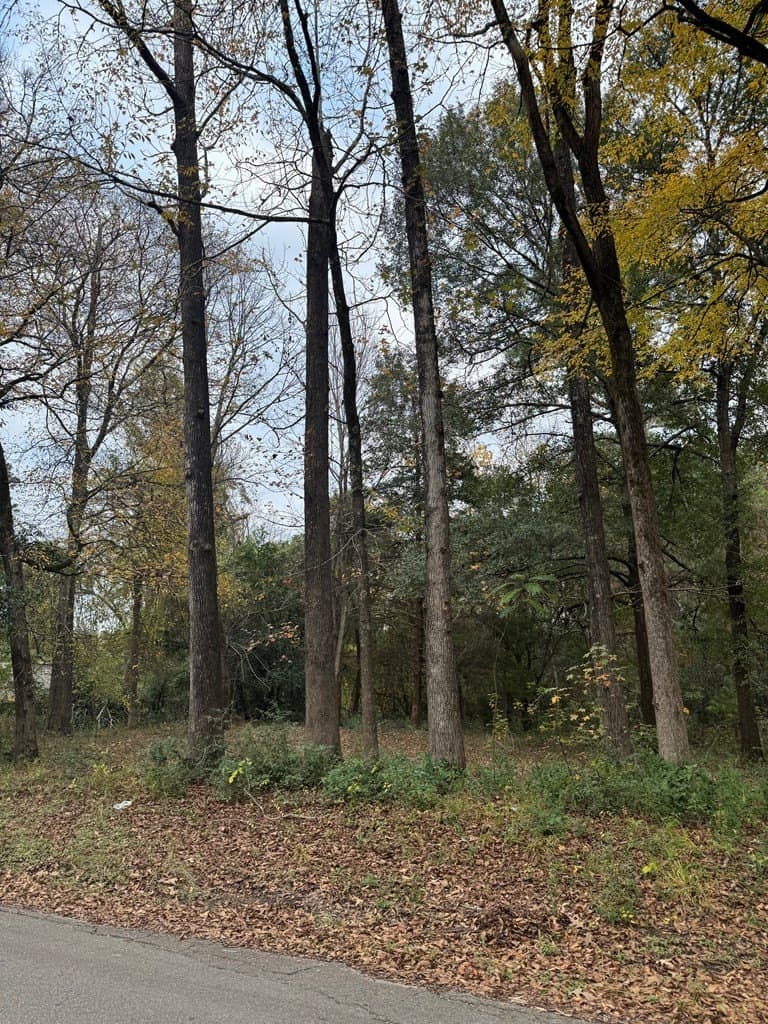 0.34 acres in Texas County gallery image 4