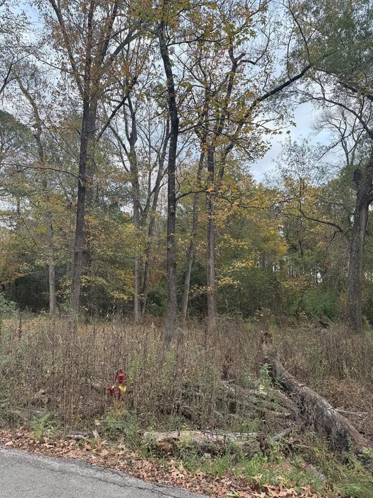 0.34 acres in Texas County