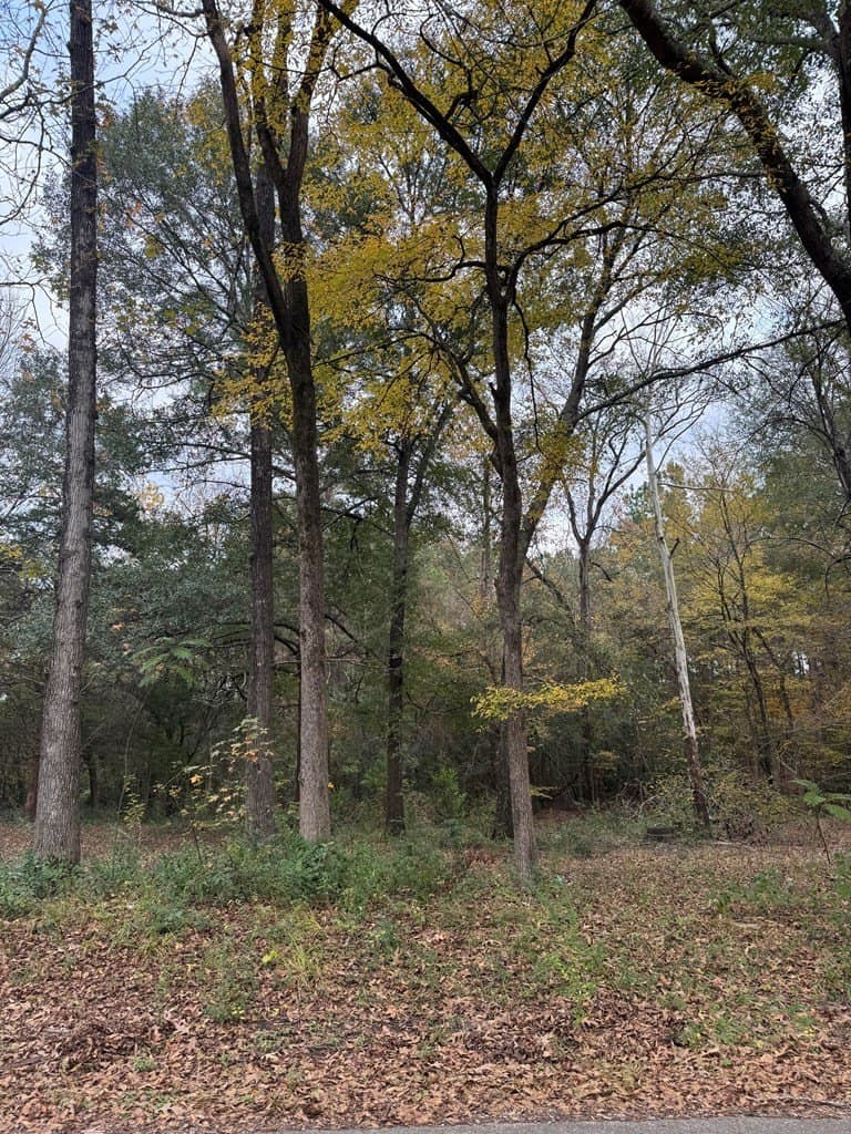 0.34 acres in Texas County gallery image 3