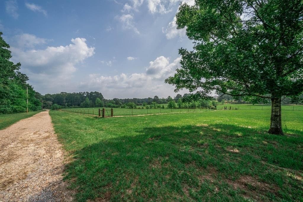 21.16 acres in Upshur County gallery image 4