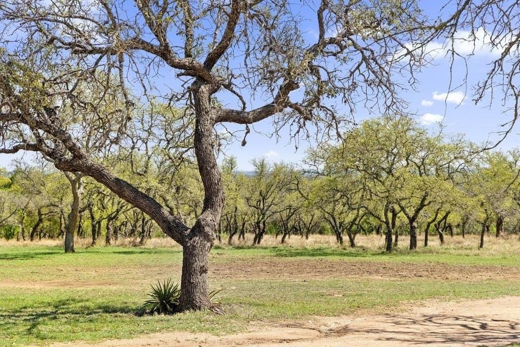 11 acres in Blanco County - photo 7