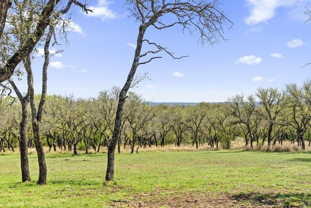 11 acres in Blanco County - photo 8