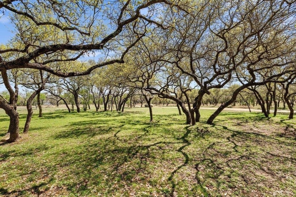 11 acres in Blanco County - photo 22
