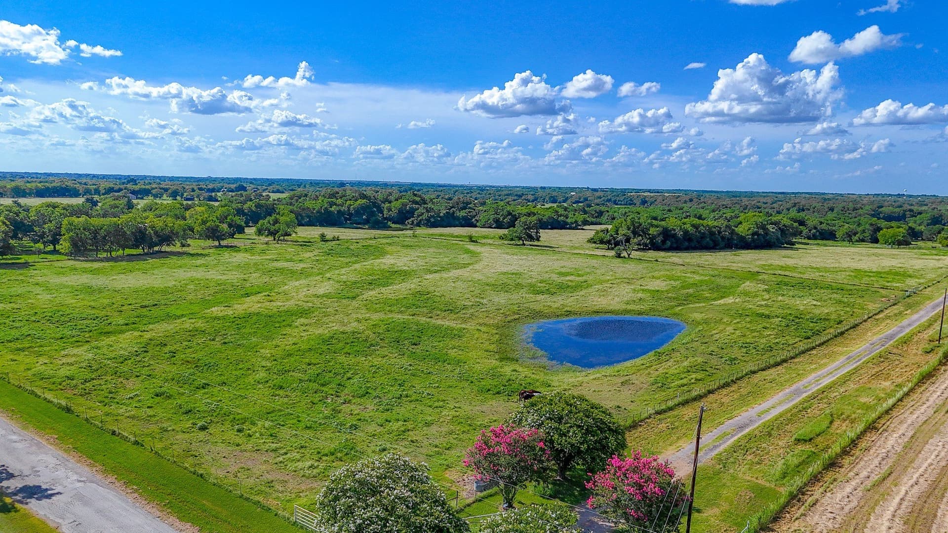 1.78 acres in Navarro County gallery image 4
