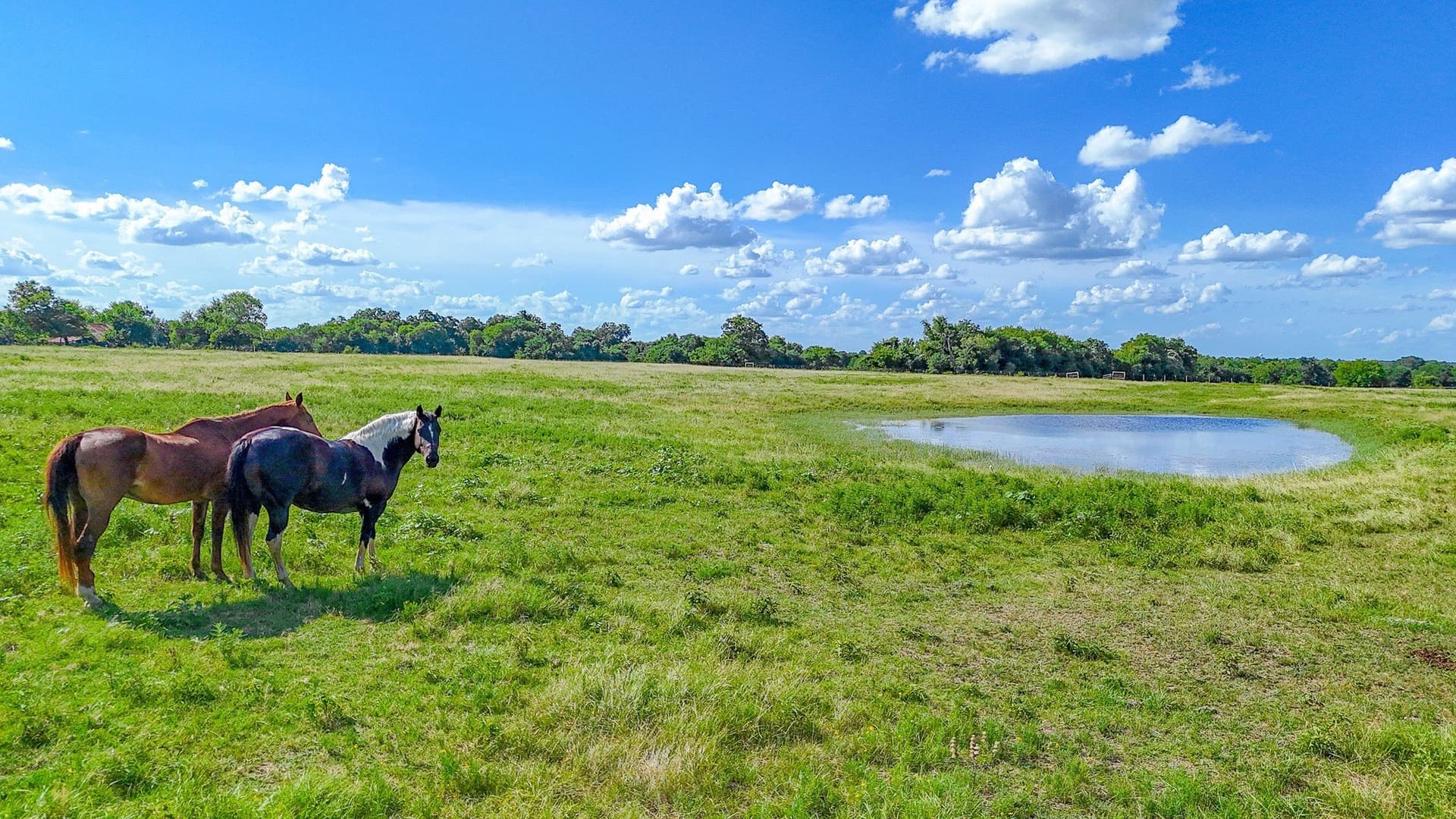 1.78 acres in Navarro County gallery image 2