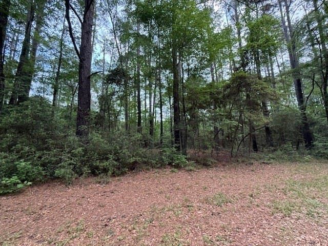 0.31 acres in Texas County gallery image 4