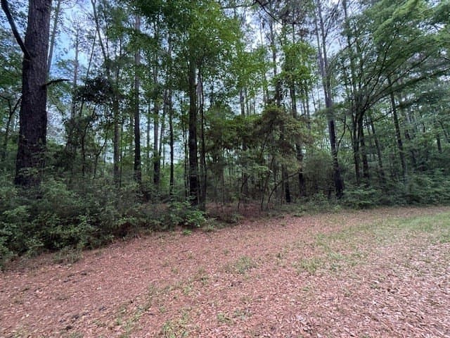 0.31 acres in Texas County gallery image 3