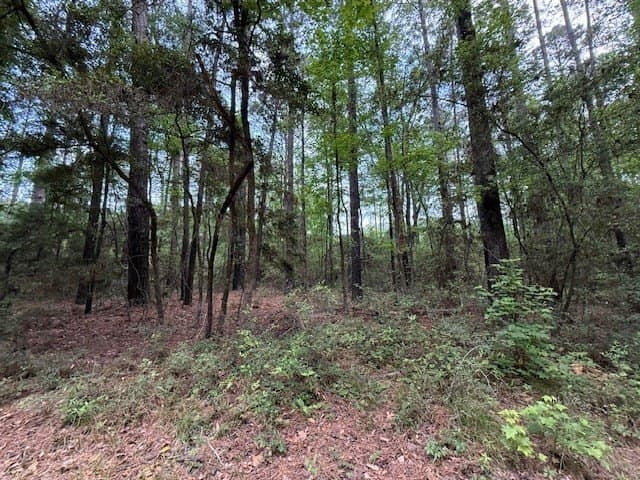 0.31 acres in Texas County gallery image 2