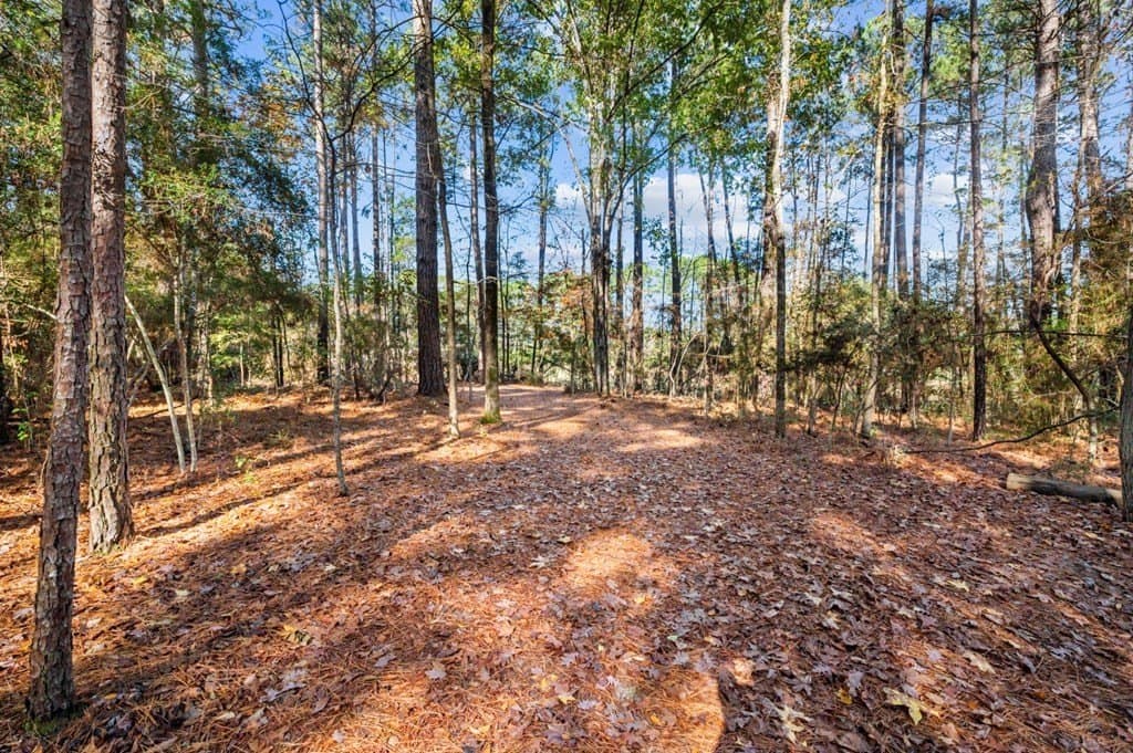 6.45 acres in Texas County - photo 5