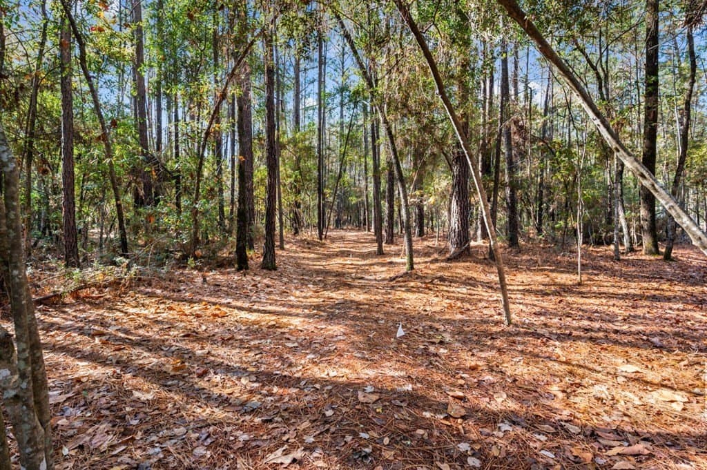 6.45 acres in Texas County - photo 6