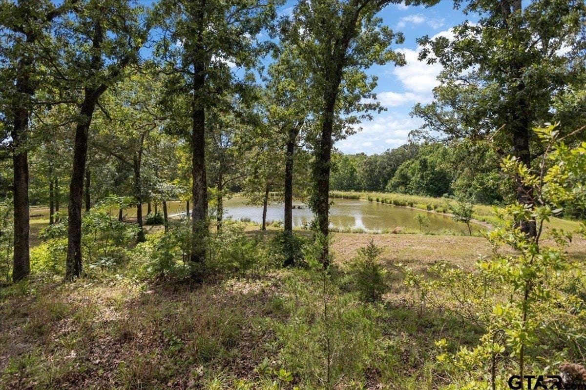 42.71 acres in Van Zandt County - photo 39
