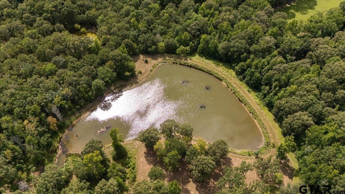 42.71 acres in Van Zandt County gallery image 3