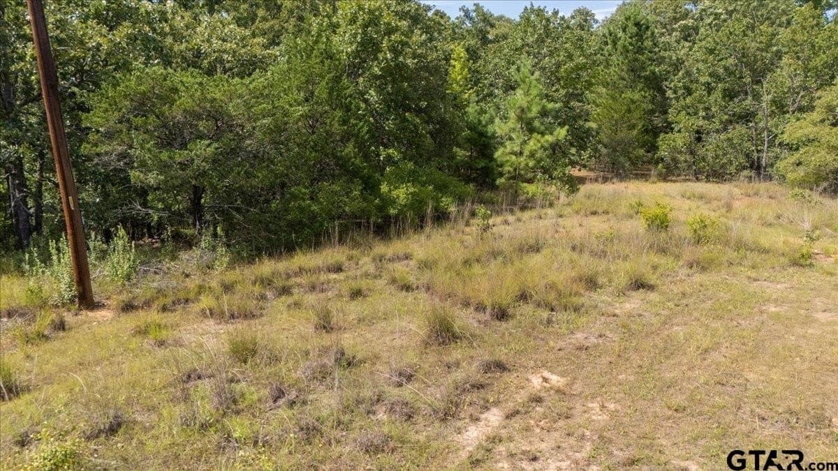 42.71 acres in Van Zandt County - photo 45