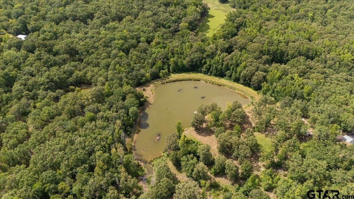 42.71 acres in Van Zandt County gallery image 2