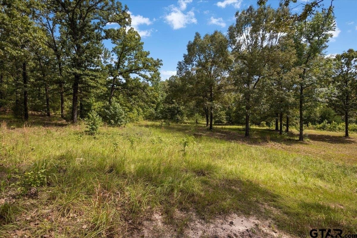42.71 acres in Van Zandt County - photo 43