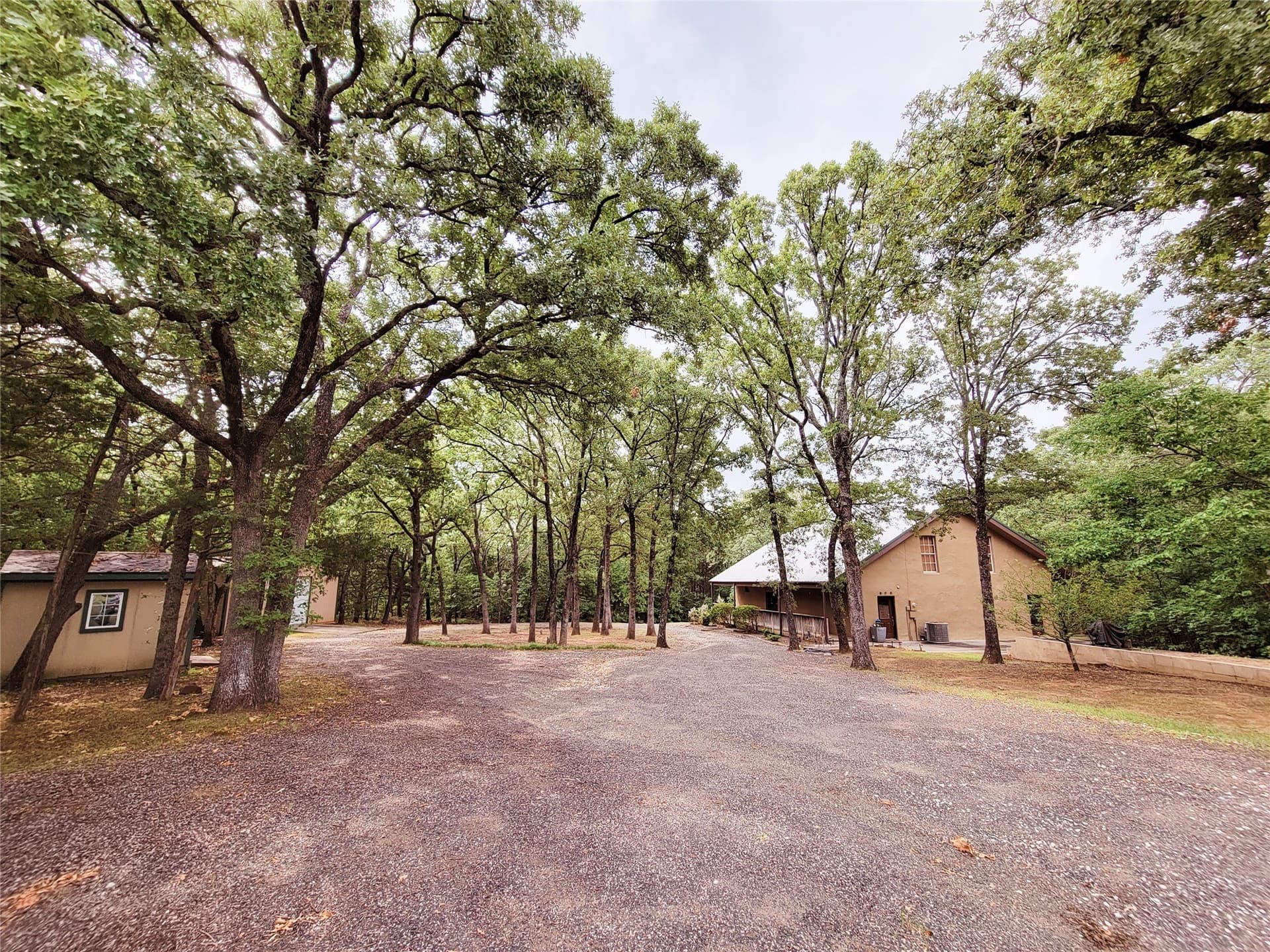 10.01 acres in Grayson County gallery image 4