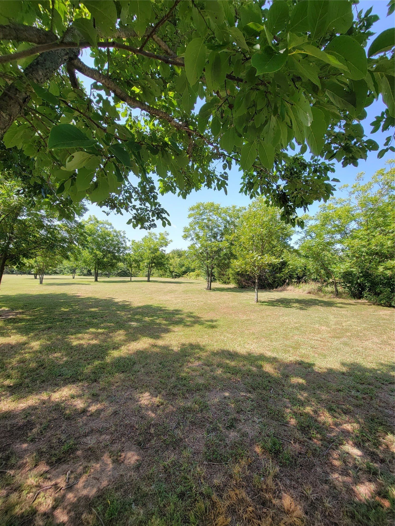 10.01 acres in Grayson County - photo 17