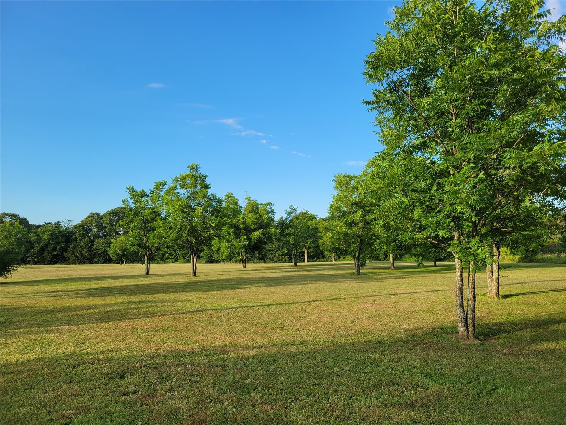 10.01 acres in Grayson County - photo 18