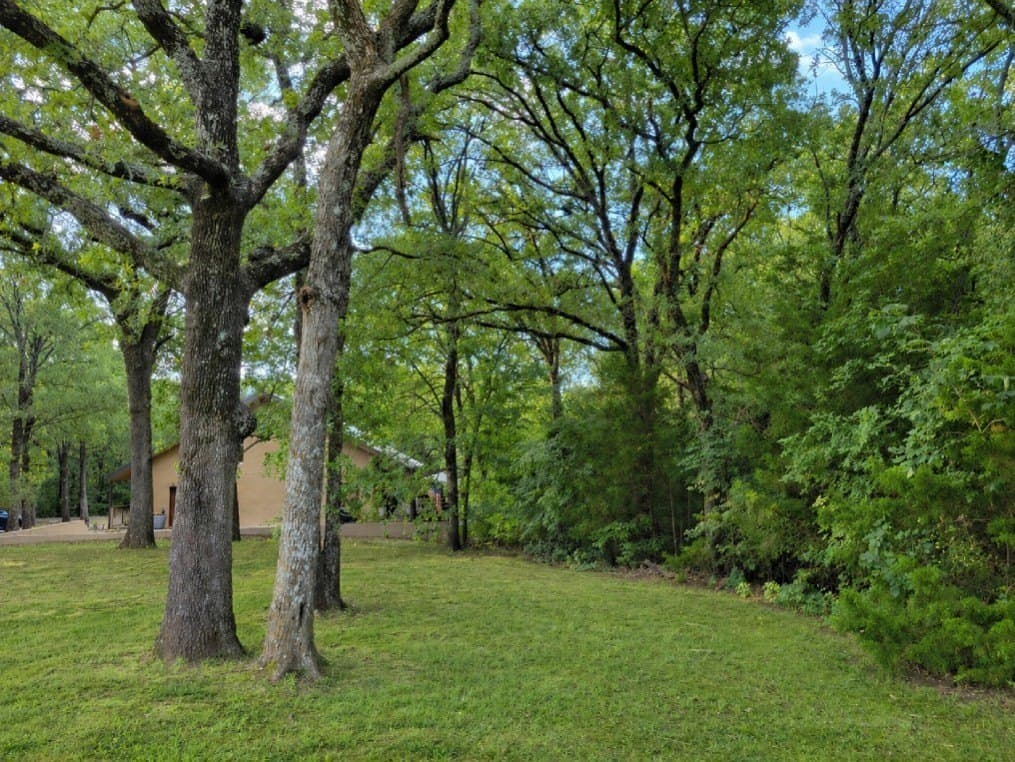 10.01 acres in Grayson County - photo 20