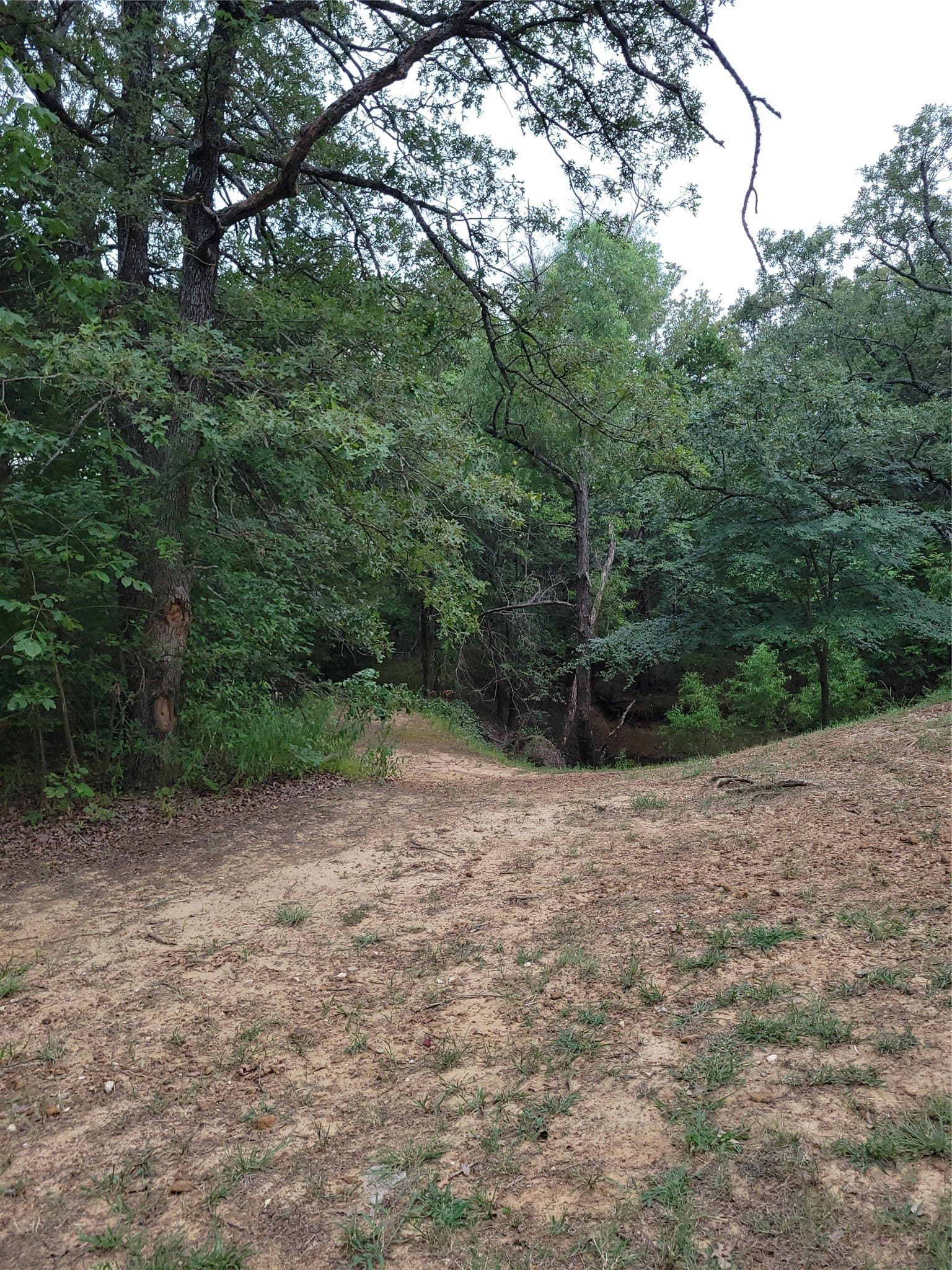10.01 acres in Grayson County - photo 16