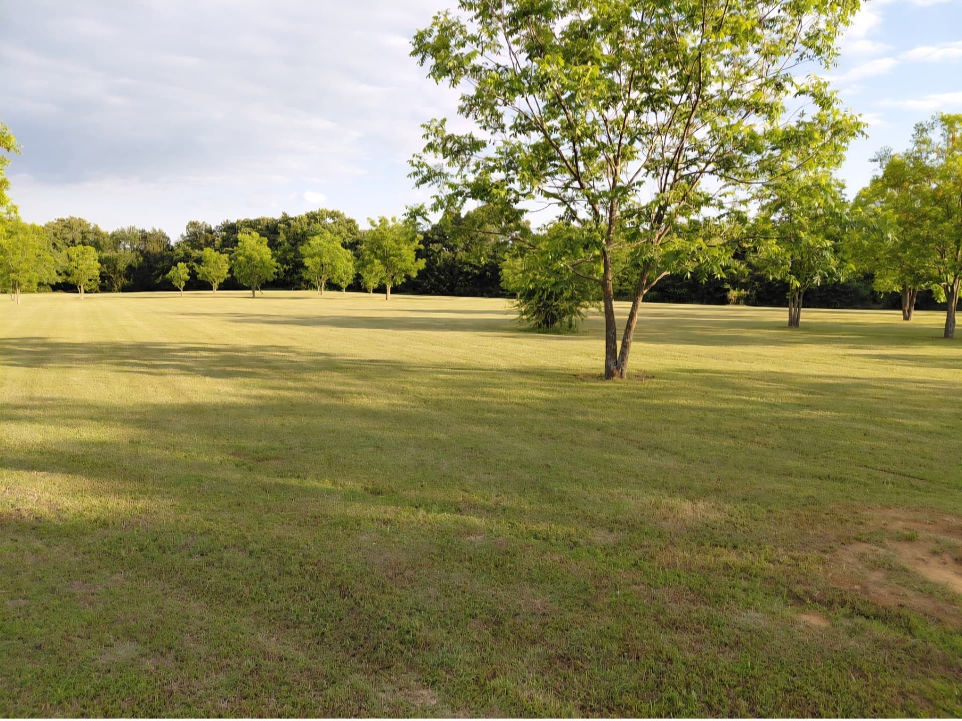 10.01 acres in Grayson County - photo 19