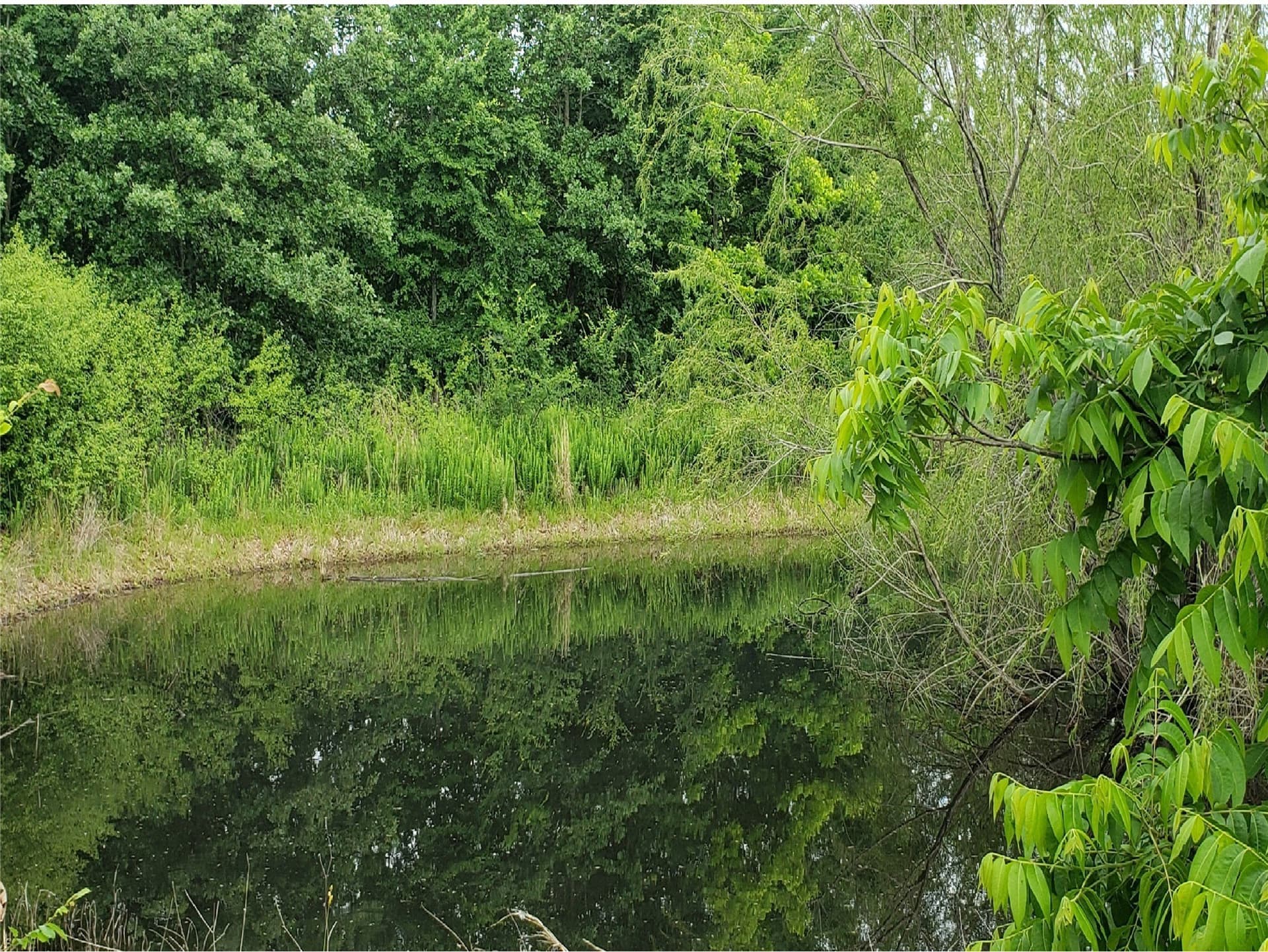10.01 acres in Grayson County - photo 21