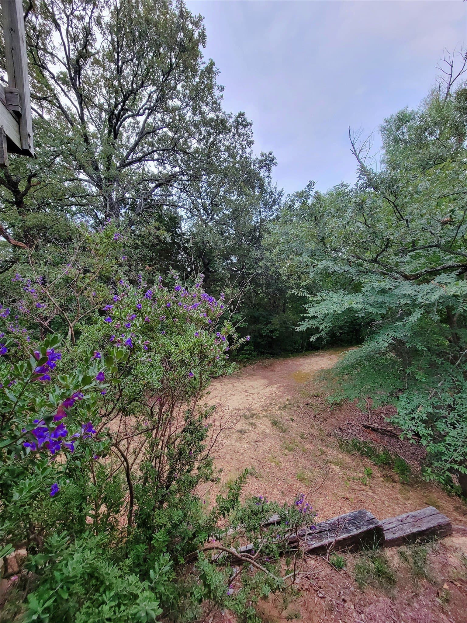 10.01 acres in Grayson County - photo 14